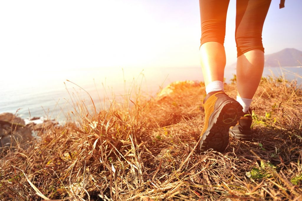 cardio and longevity